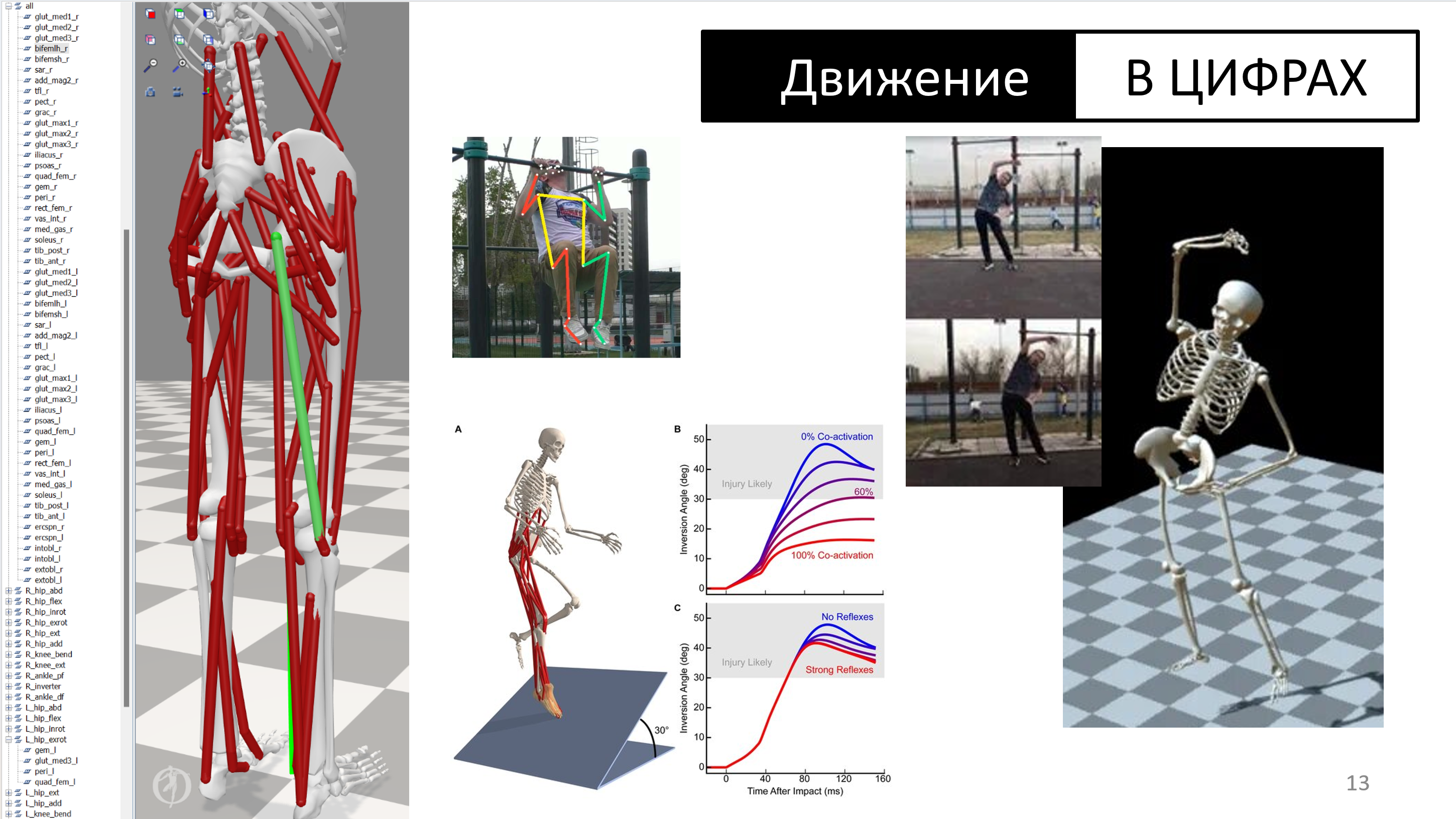 Доклад-отчет по направлению «Спорт и здоровье»